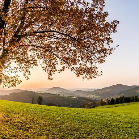 Sauerland Alpin Hotel Шмалленберг Экстерьер фото