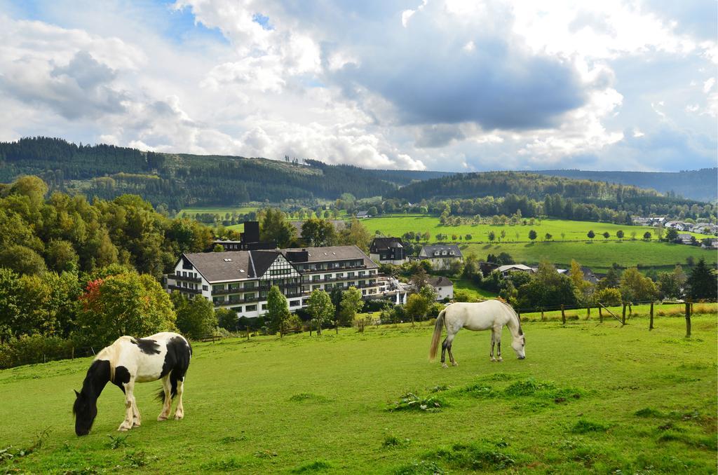 Sauerland Alpin Hotel Шмалленберг Экстерьер фото