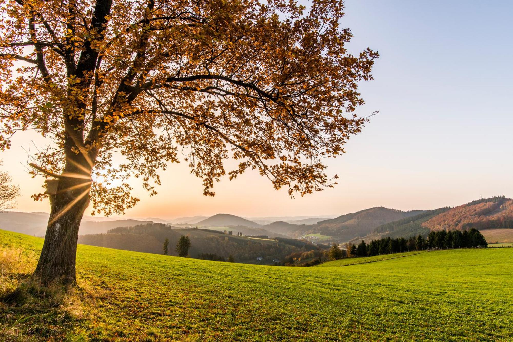 Sauerland Alpin Hotel Шмалленберг Экстерьер фото