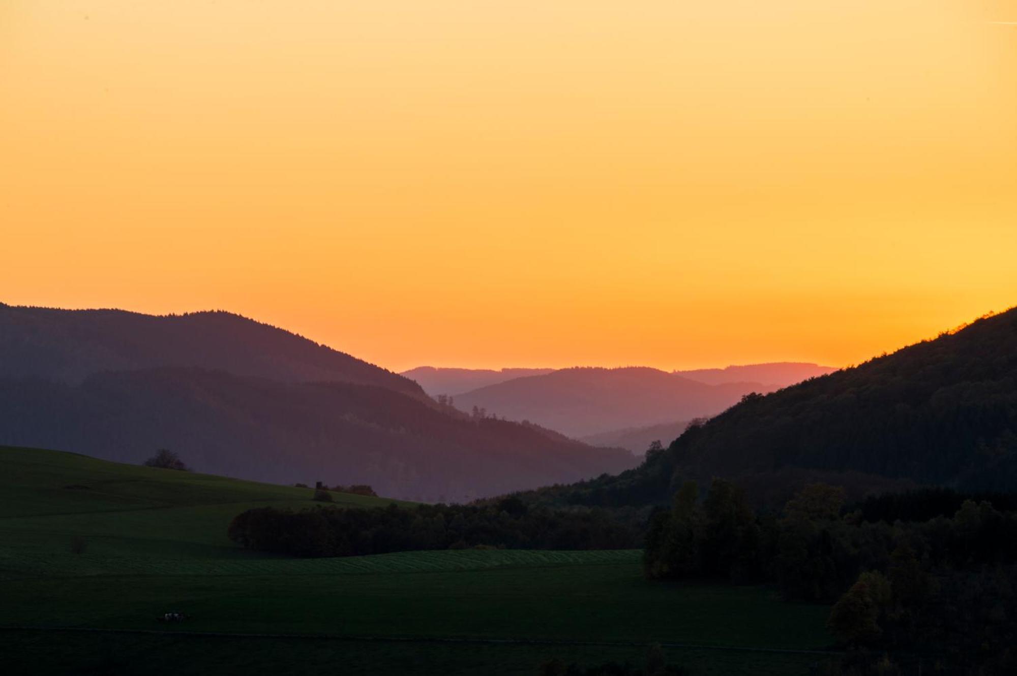 Sauerland Alpin Hotel Шмалленберг Экстерьер фото